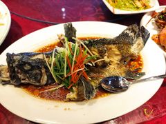 -海岛渔村大酒店(云霄路店)