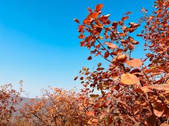 -香山公园