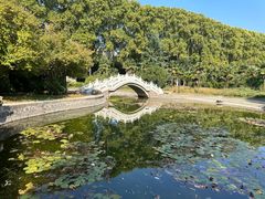 -河南省黄河迎宾馆