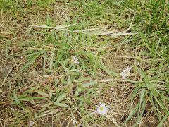 -天津东丽湖风景区