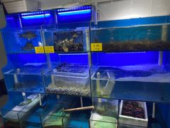 水产区-盈田盈粥庄(博山东路店)