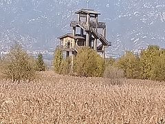 -野鸭湖国家湿地公园