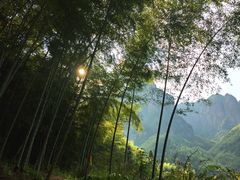 -公盂村