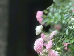 -上海孙中山故居纪念馆