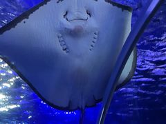 -江和美海洋公园
