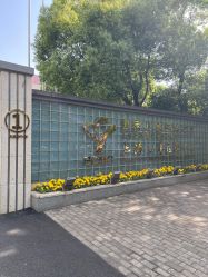 -上海交通大学医学院附属上海儿童医学中心(陆家嘴总院区)