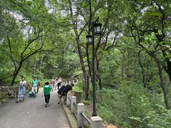-北山公园