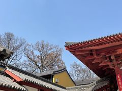 -灵谷景区