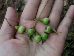 -临武万客隆国际购物广场(晴岚路店)