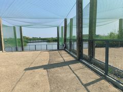 -盐城丹顶鹤湿地生态旅游区