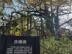 -虞山风景区