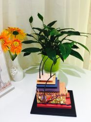 -咪咪比基尼脱毛专业店