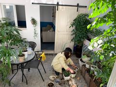 -树咖啡tree coffee