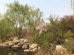 -石家庄市植物园