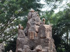 -南宁市动物园
