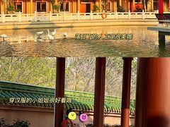 -广东圆玄道观