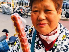 -和禄德冰糖葫芦