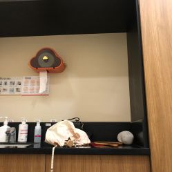 -上海玫瑰医疗美容医院