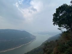 -铁山坪森林公园