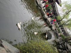 -西安青龙寺遗址景区