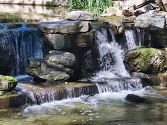 -白水寺森林公园