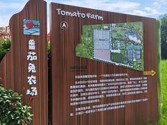 -茯茶镇