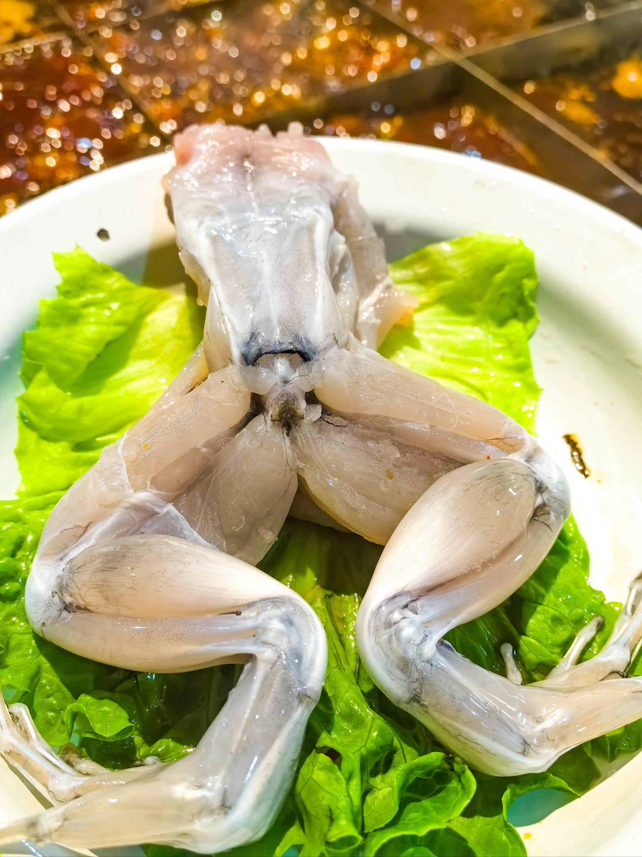 现杀牛蛙,吃起肉嫩,丝滑