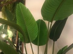 -真情鲍鱼海鲜汤