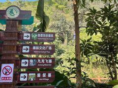 -西双版纳原始森林公园