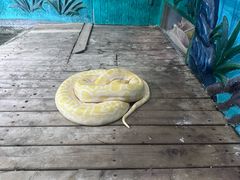 -石家庄市动物园