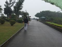 -大湾区中央湿地公园