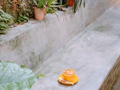 -微饮cafe