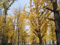 -百林公园-两江幸福广场