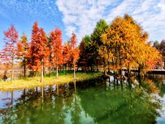 -贡湖湾湿地公园