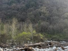-黑河国家森林公园