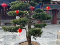 -大慈恩寺(大雁塔)
