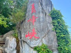 -青峰峡国家森林公园