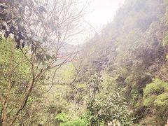 -蝶舞清江·恩施地心谷景区