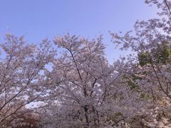 -苏州上方山国家森林公园