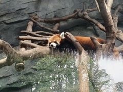 -武汉动物园