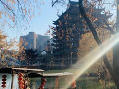 -长兴太湖图影湿地文化园