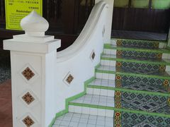 -东莞植物园