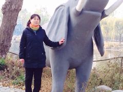 iphone_upload_pic-北戴河集发农业梦想王国
