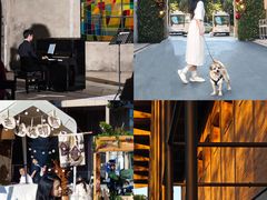 -中旅阿那亚九龙湖·公主酒店