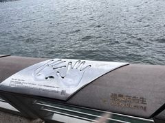 -星光大道
