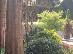 -一尺花园(安和花园店)