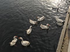 -西安汉城湖景区