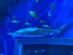 -成都浩海立方海洋公园