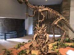 -自贡恐龙博物馆