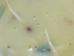 -老西关黄老太牛肉烧饼